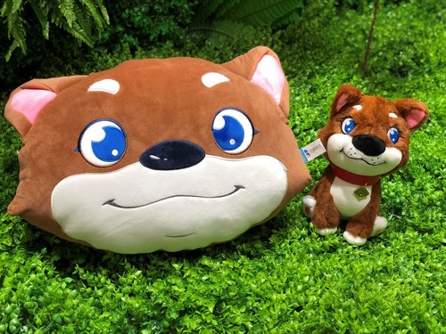 1537526592222447.jpg 3.jpg